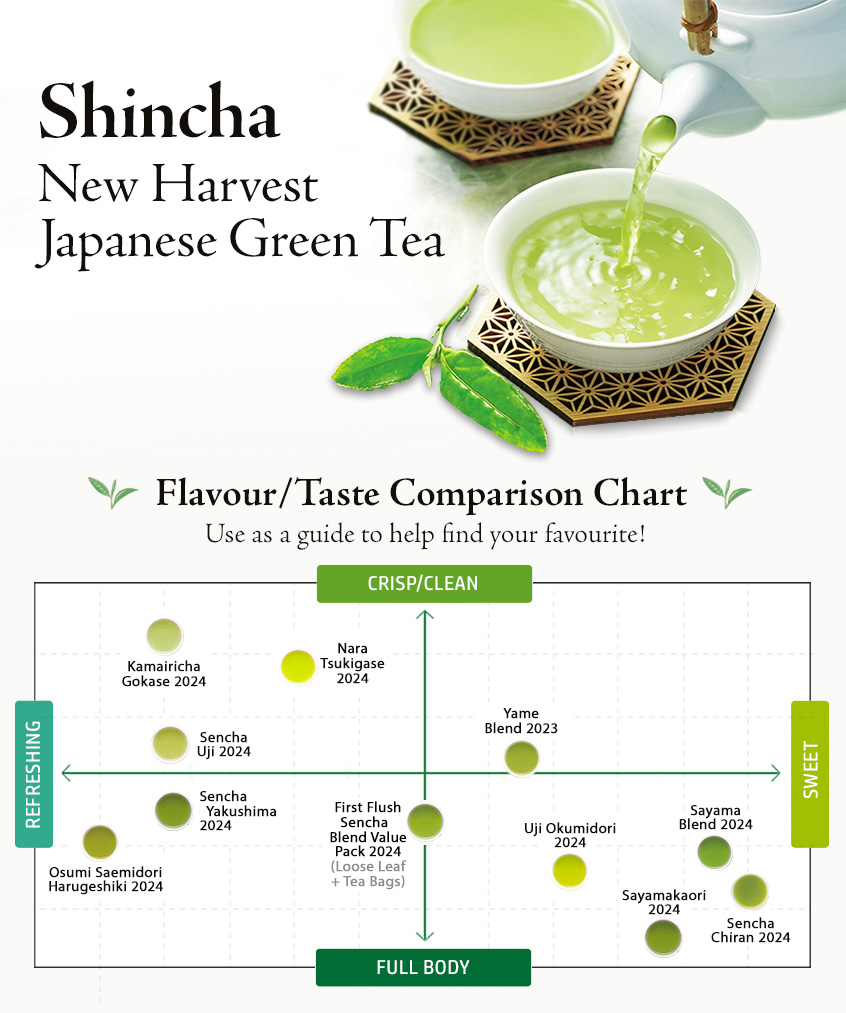 Shincha New Harvest Japanese Green Tea 2024