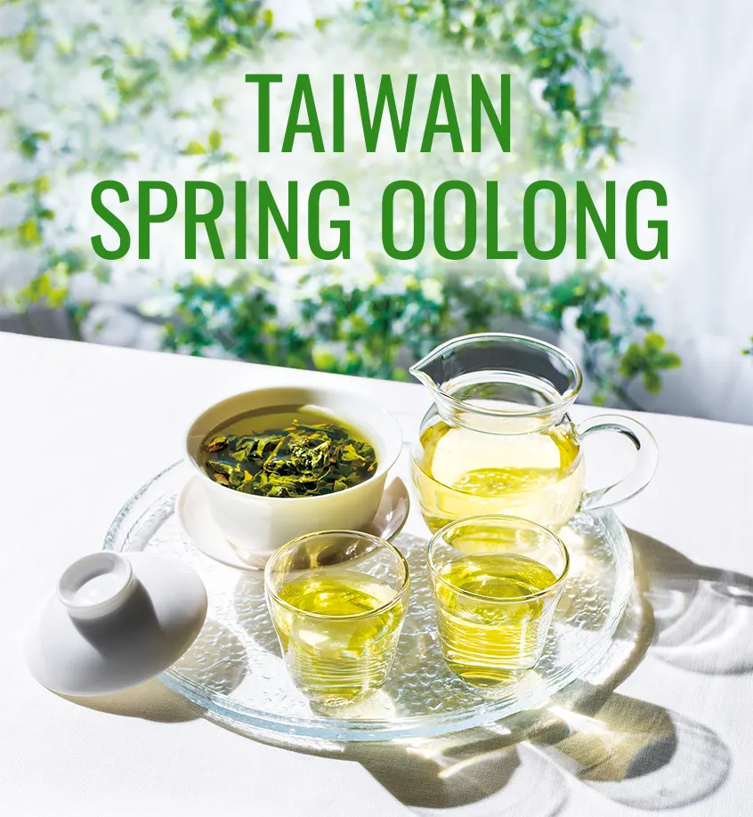 Taiwan Spring Oolong 2024