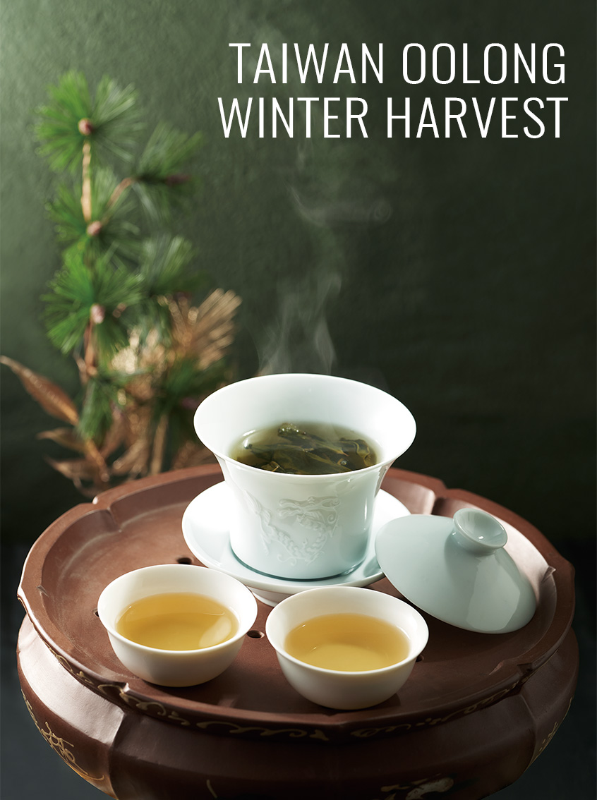 Taiwan Oolong Winter Harvest