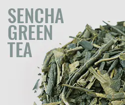 Sencha Japanese Green Tea